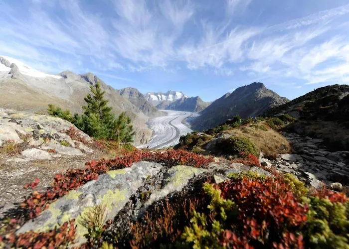 Elegant Alpine For 8 Chalet *